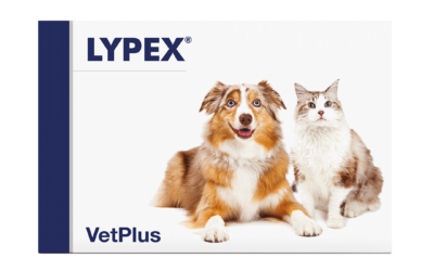 Exkluzivní partnerství SG-VET a VetPlus – Světového lídra ve veterinárních nutričních doplňcích